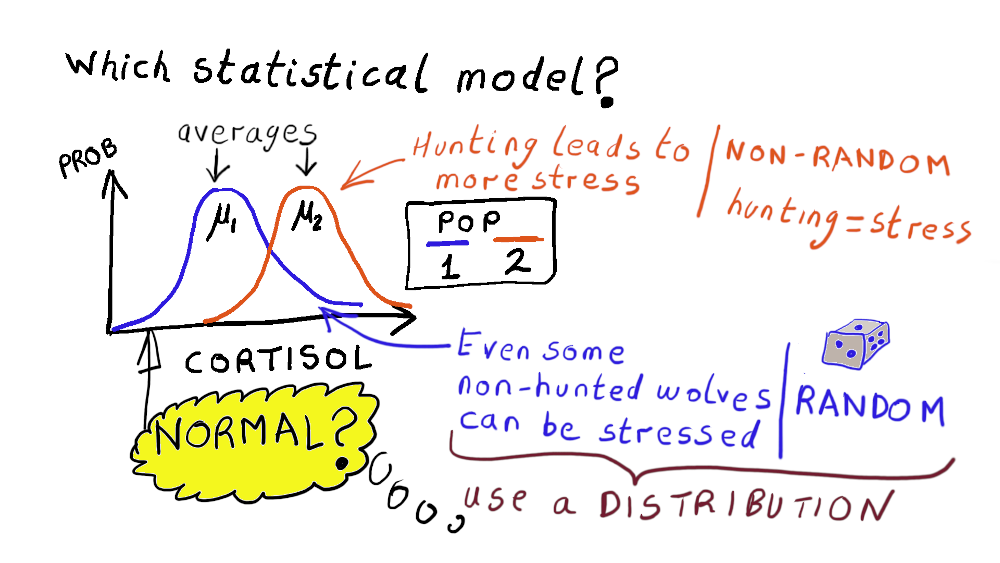 Figure: A possible statistical model for cortisol concentrations from all wolves in populations